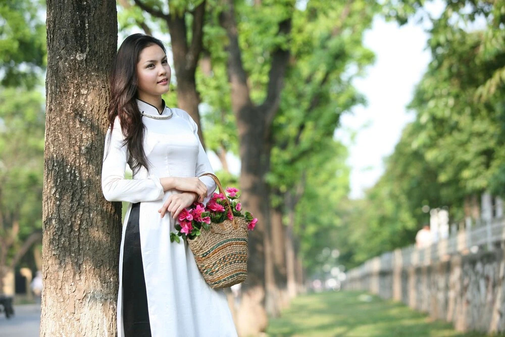Hoang Kim Hotel Hai Phong