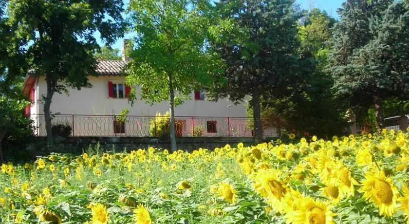 Lancianello