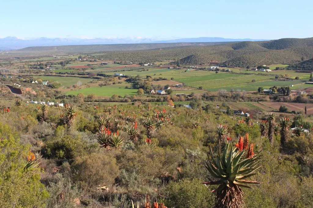 Le Petit Karoo