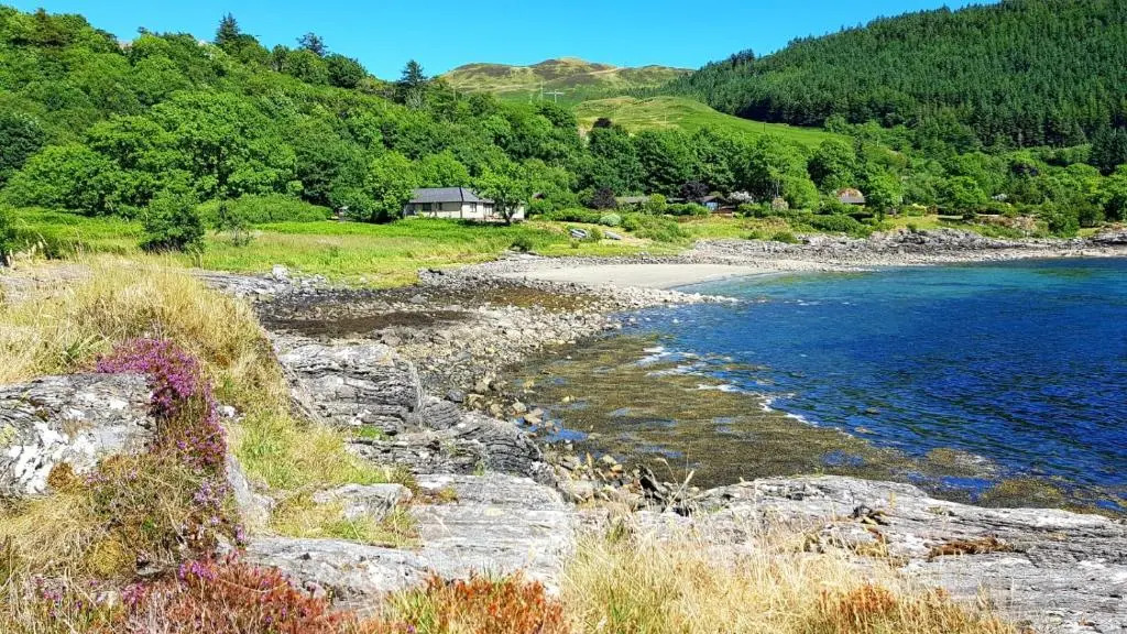 The Old Cottage