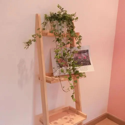 Summer Taste Homestay