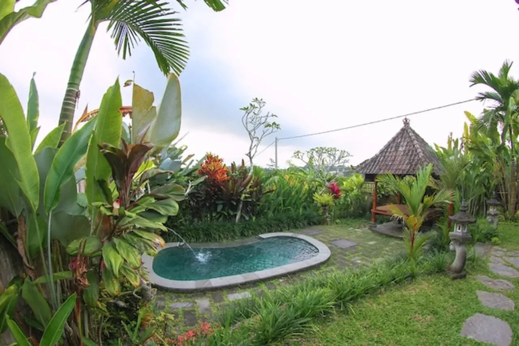 Belvilla Moksha Ceking Rice TerraceNearUbud Jungle Swing