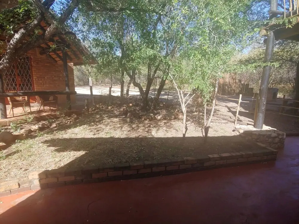 Bush and Gables