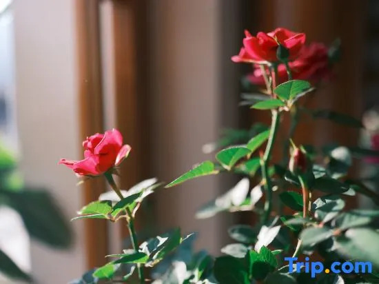 Xingyi Wanfenglin Ruhuazaoye Homestay (Baguatian Observation Deck)