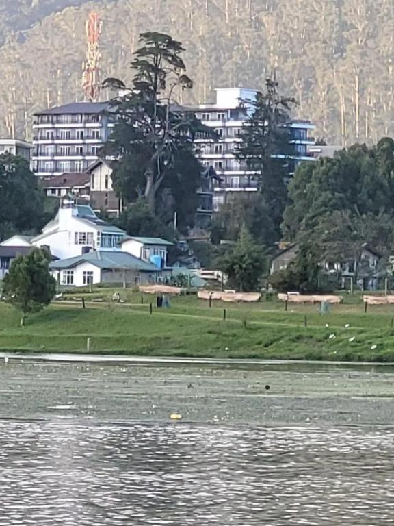 THE WIND LILY - Lake view luxury Apartment