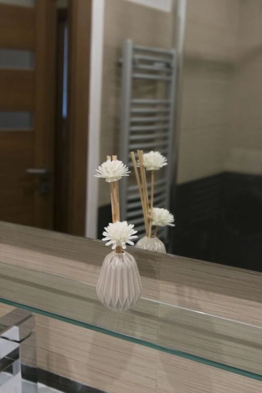 Spacious apartment near Wenceslas Square