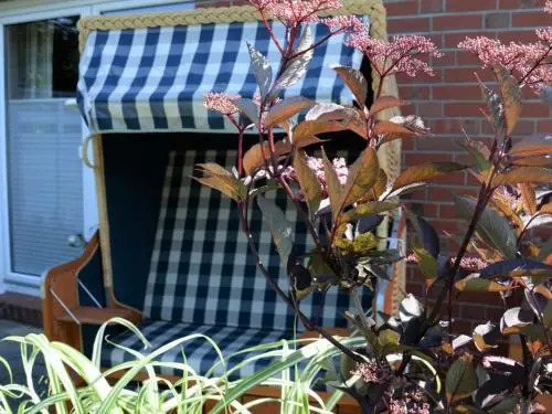 Ferienhaus 8erwassereck