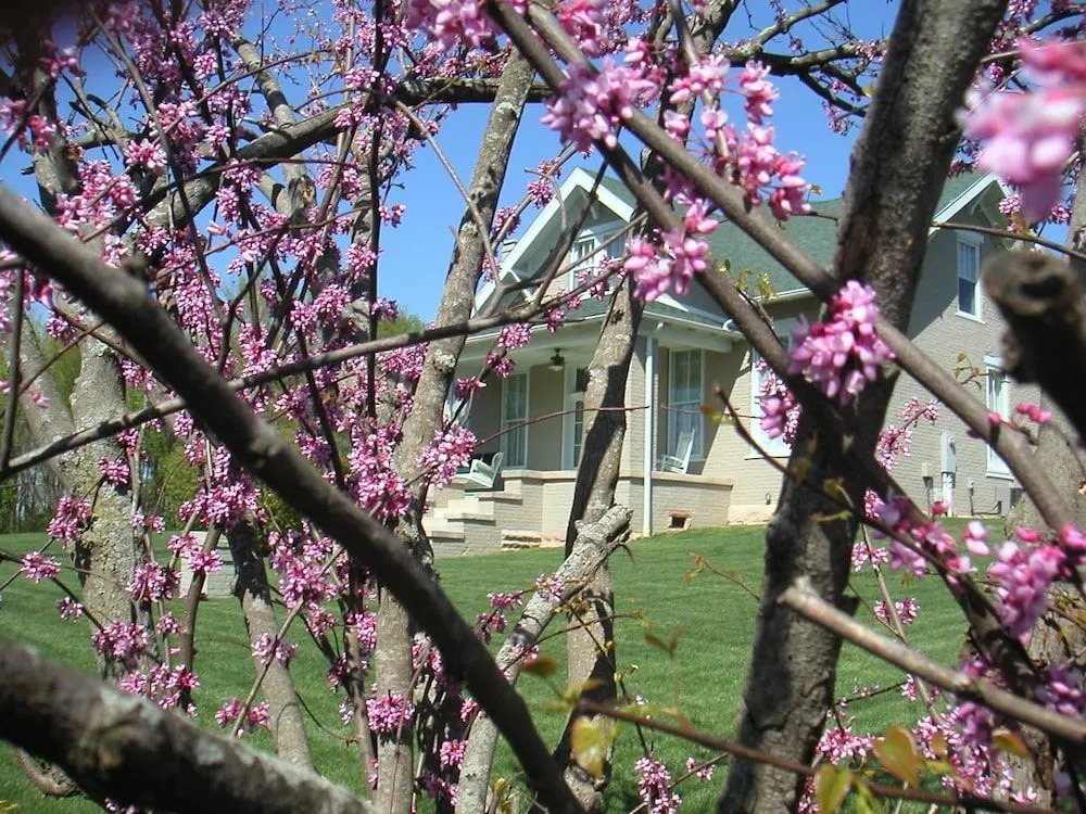 Wampler House