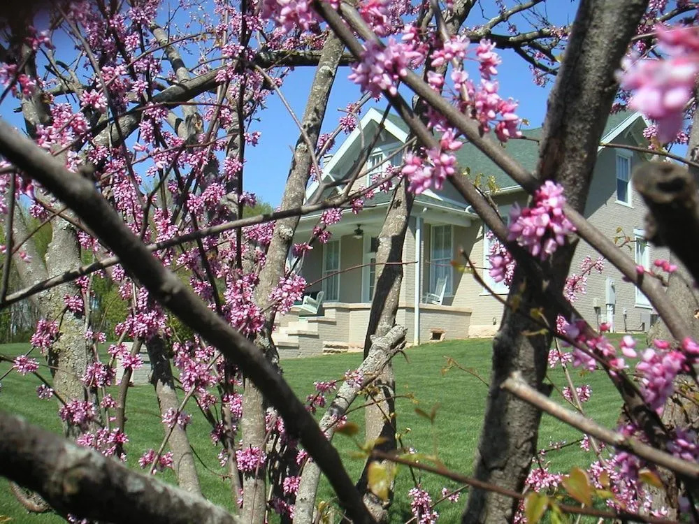 Wampler House