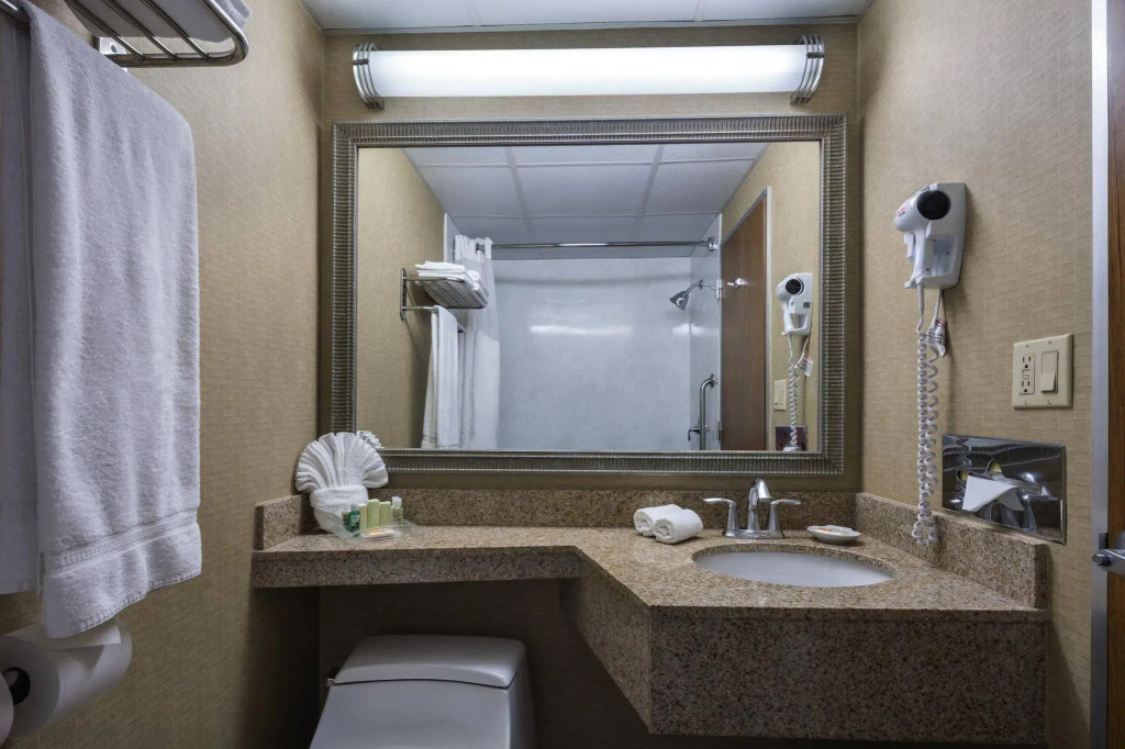 Holiday Inn New Orleans-Downtown Superdome by IHG