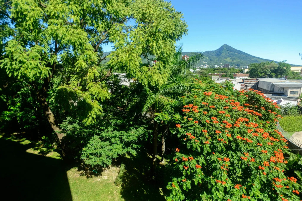 Courtyard by Marriott San Salvador