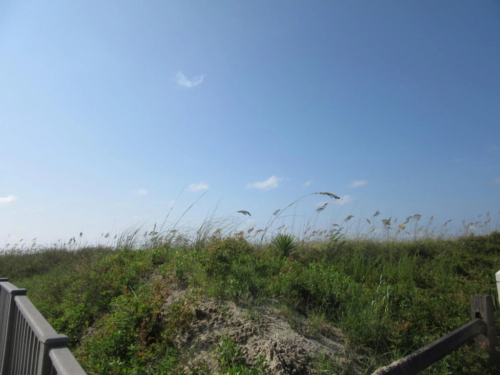 Hilton Head Beach and Tennis 147a
