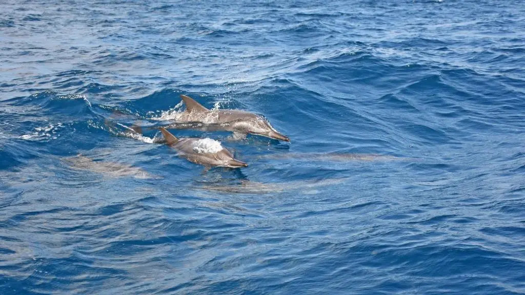 Отель Melheim Beach