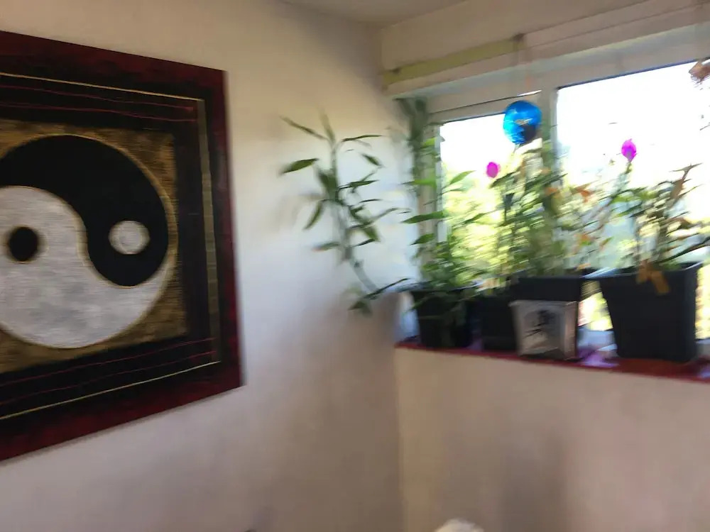Polka Dot Room
