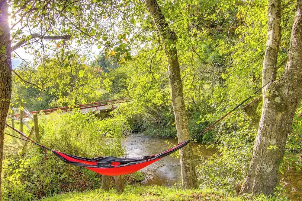 Hendersonville Creekside Cabin: Near Dupont Forest