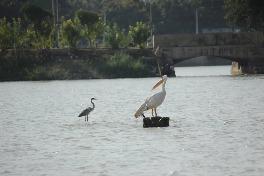 Hotel Shiv lake