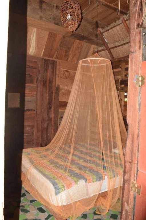 Camping Hostal El Árbol de la Vida