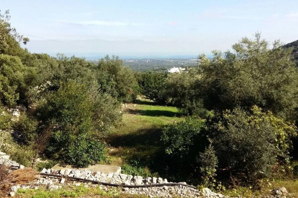 Il Bianco Trullo