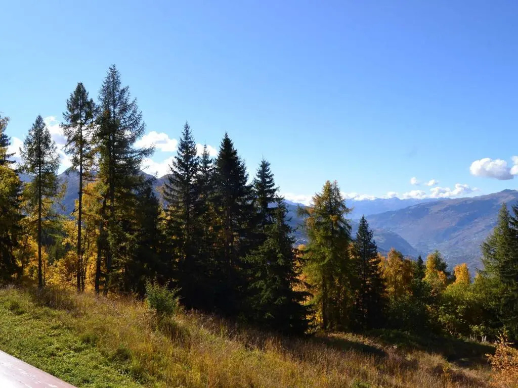 Appartement Les Arcs 1800, 2 pièces, 5 personnes - FR-1-411-541