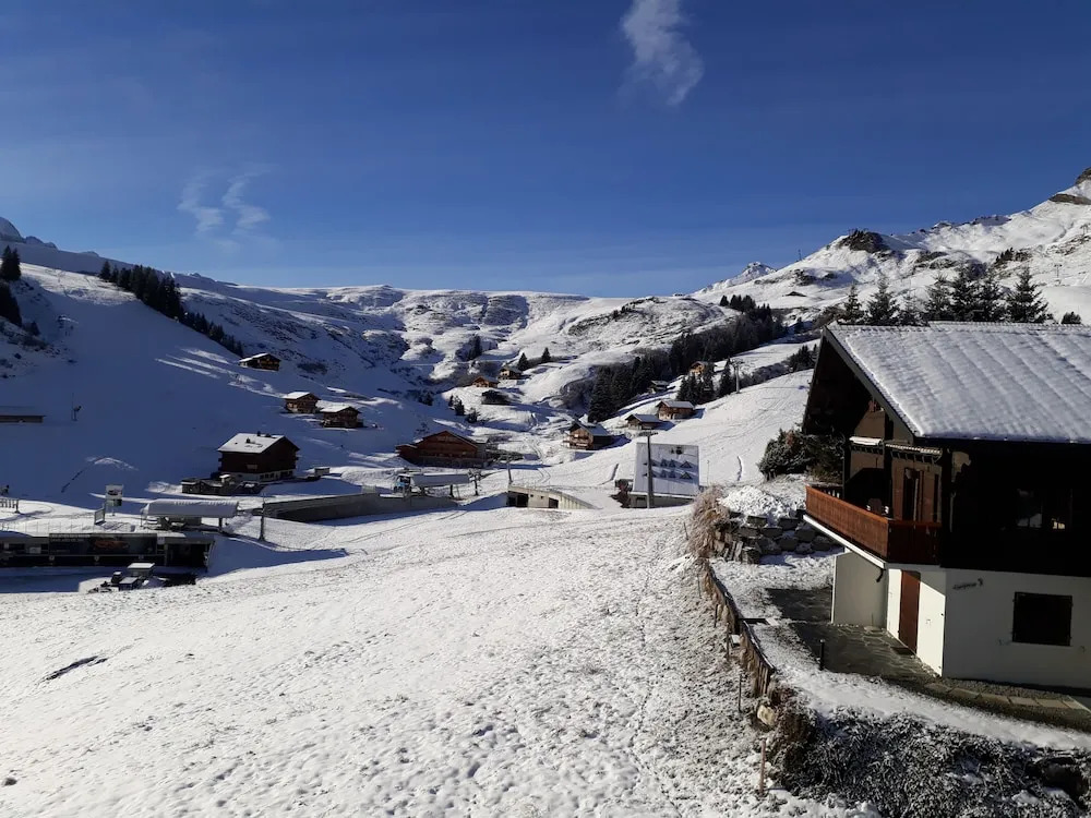 Chalet Les Rhodos 7