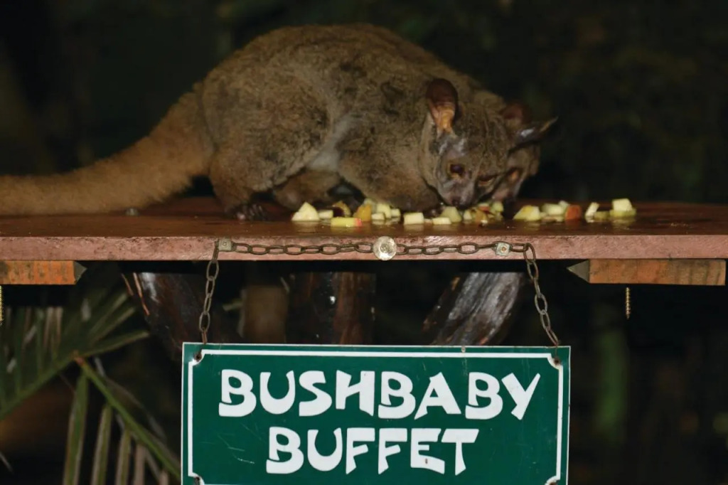 Gooderson Bushlands Game Lodge