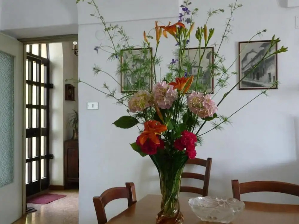 B&B Selisa