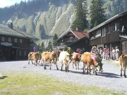 Berggasthof Obere Firstalm
