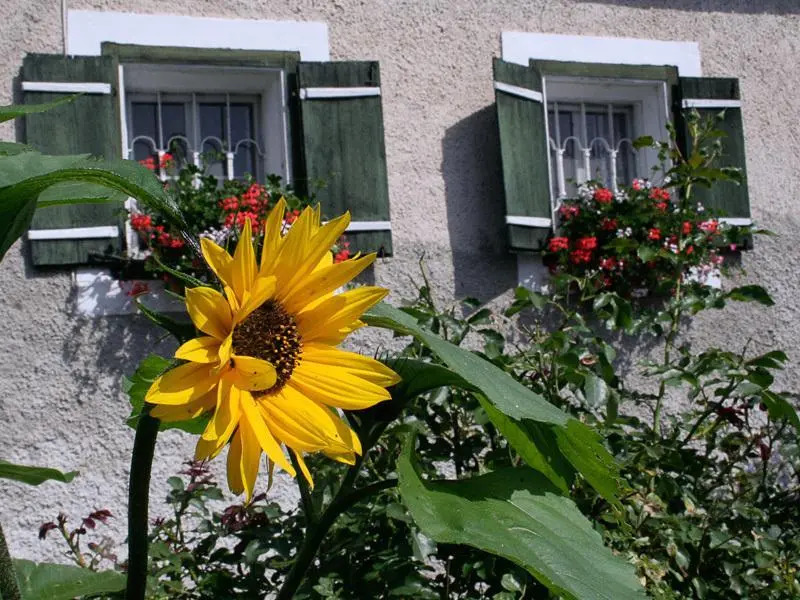 Ferienhaus Nelln