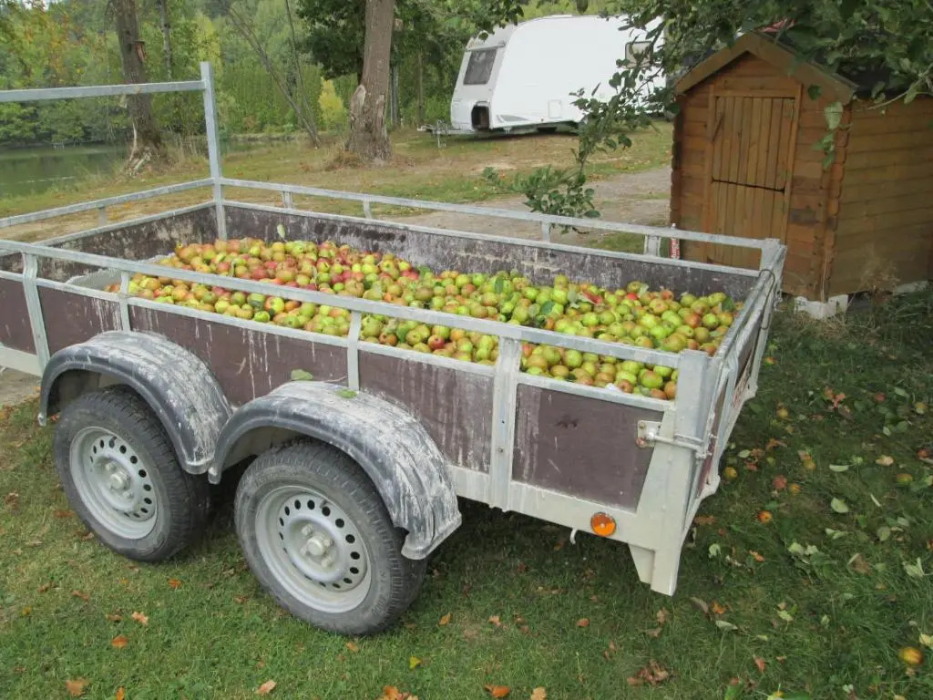 le bateau sur lac privé de 2 hectares poissonneux au milieu des bois