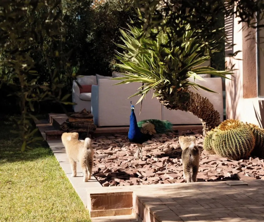 Jardin Sakina