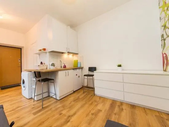 Vilnius city center apartment