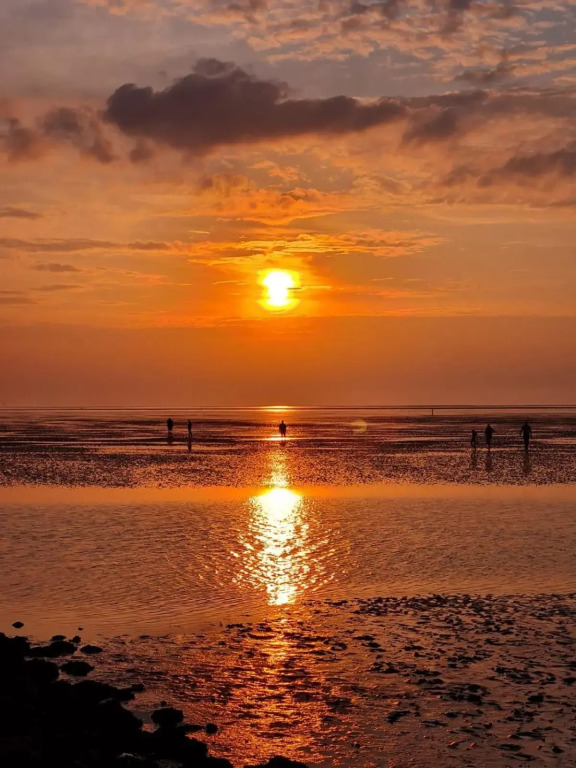 FeWo mit Meerblick - Direktzugang zur Nordsee