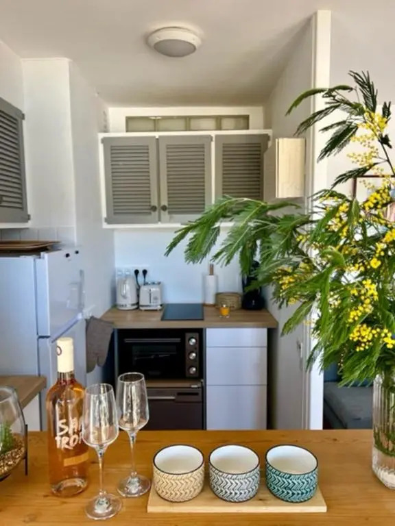 35m with Pool for Couple in Saint Tropez