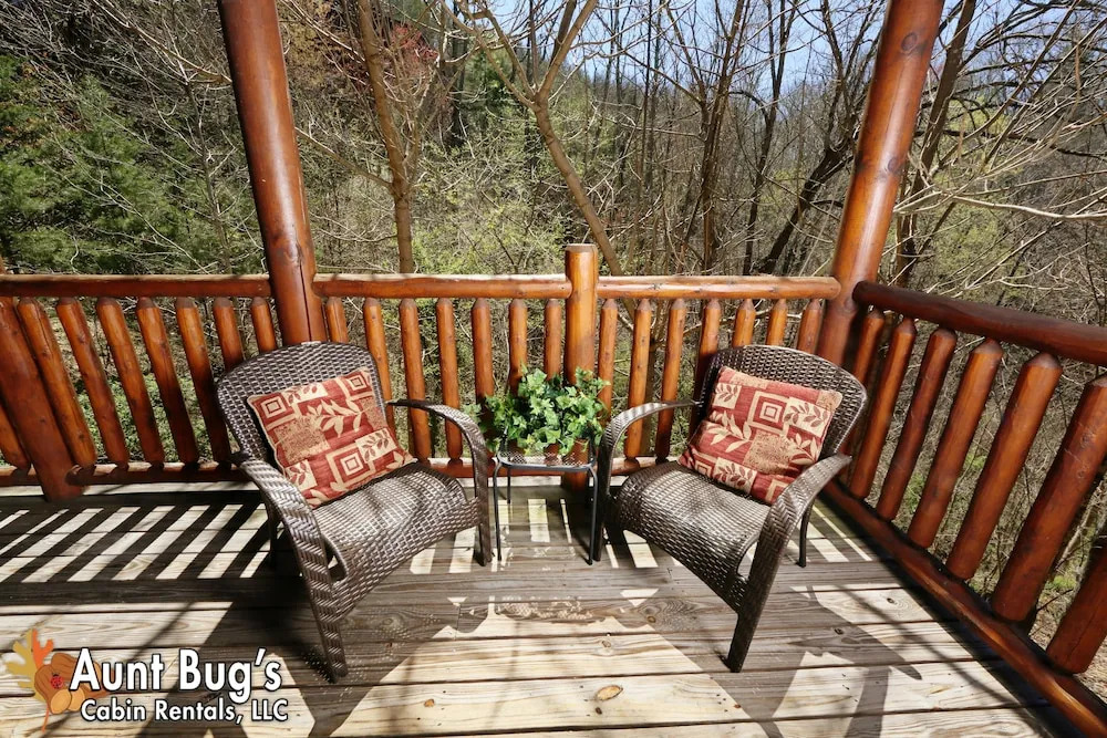 Big Daddy Bear 545 - Five Bedroom Cabin