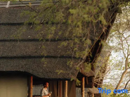 Savute Elephant Lodge
