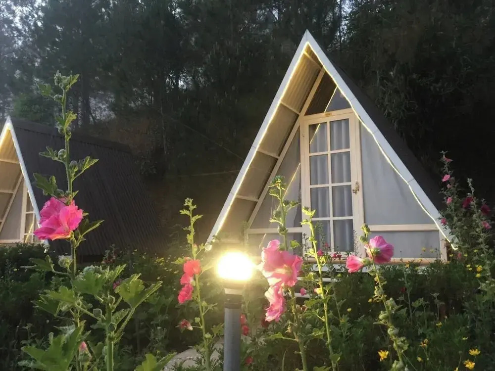 Tuyết Hoa Hòn Bồ Homestay