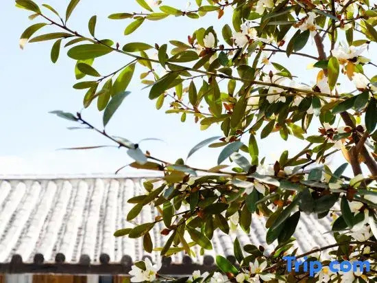 Shuiyuejinghua Homestay (Lijiang Sanyi International Airport)