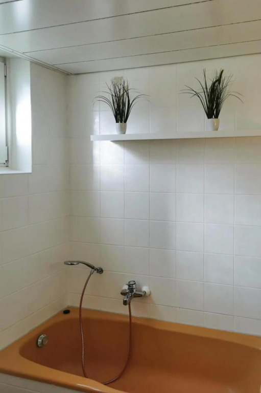 Apartment Bärenhütte, Altenau