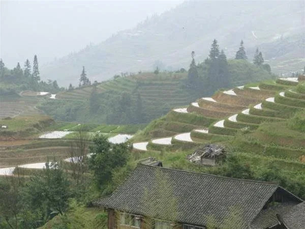 Zhen Chen Resort