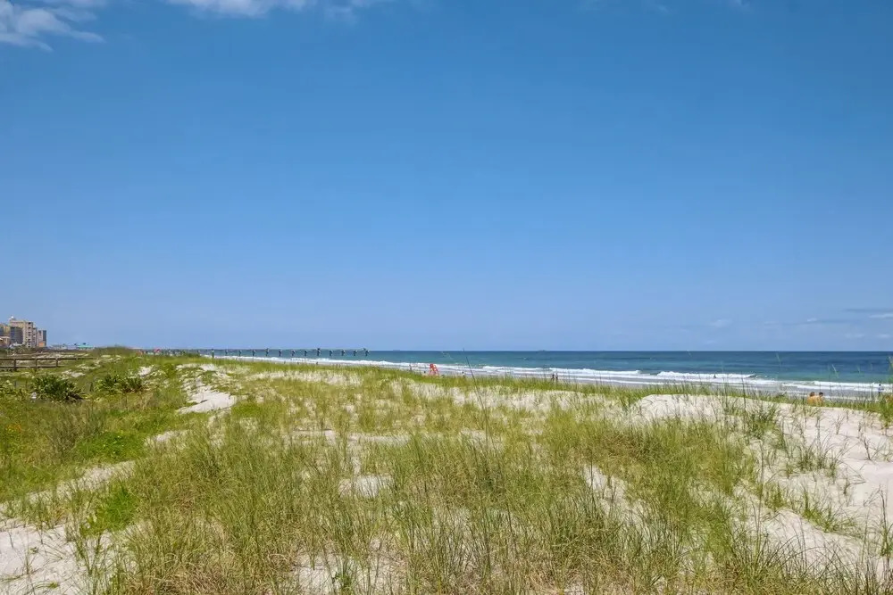 Walk to Beach, Spacious House, Huge Outside Patio