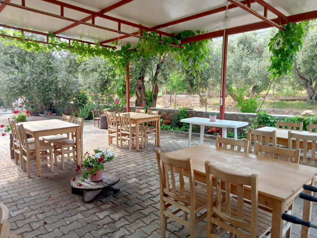 Assos Gunoven & Butik Apart Otel