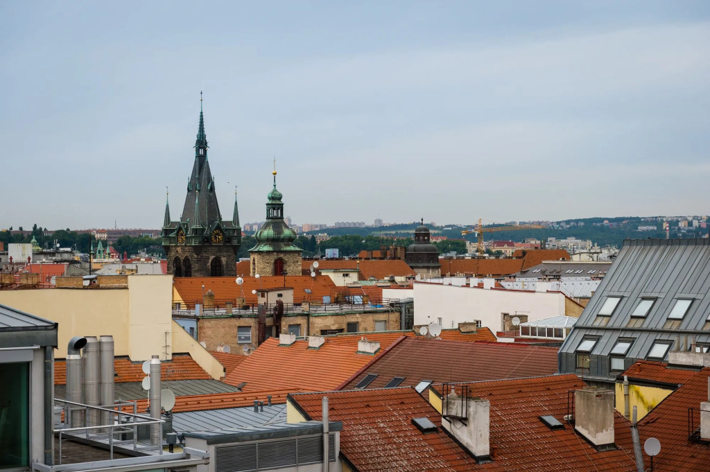 Flawless Apartments Opletalova