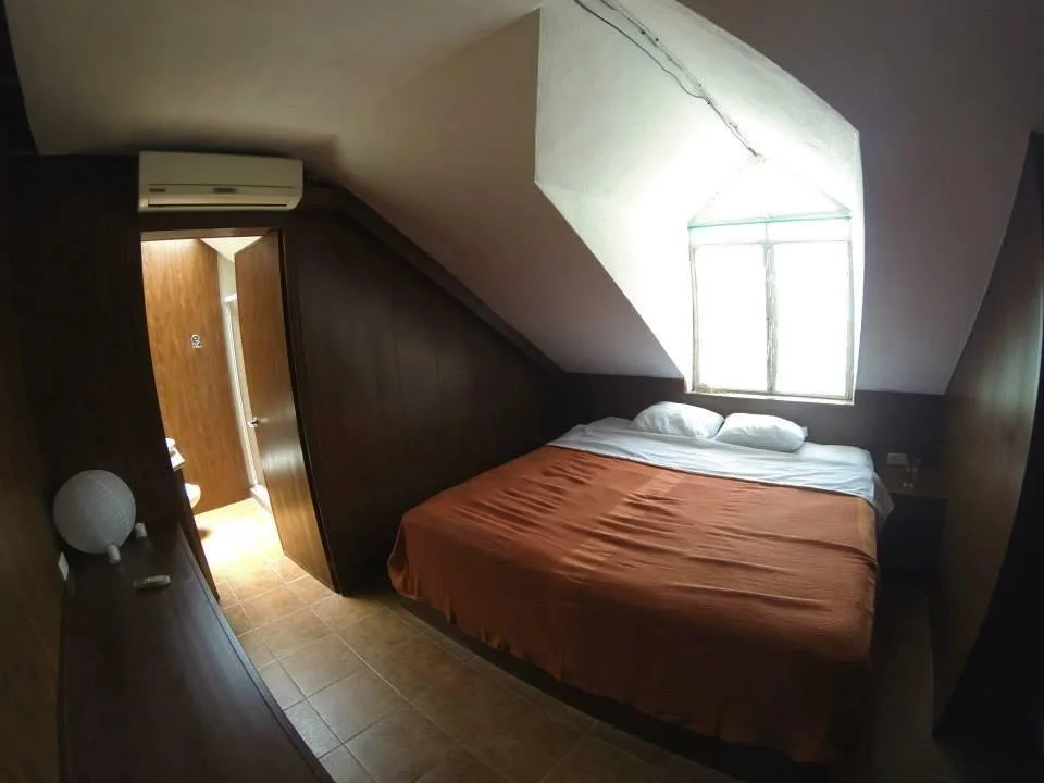 Casa Tortuga Backpacker