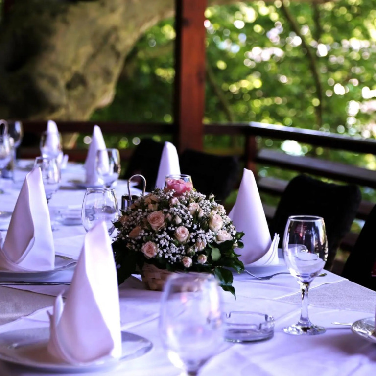 Hotel Vila Vrbas