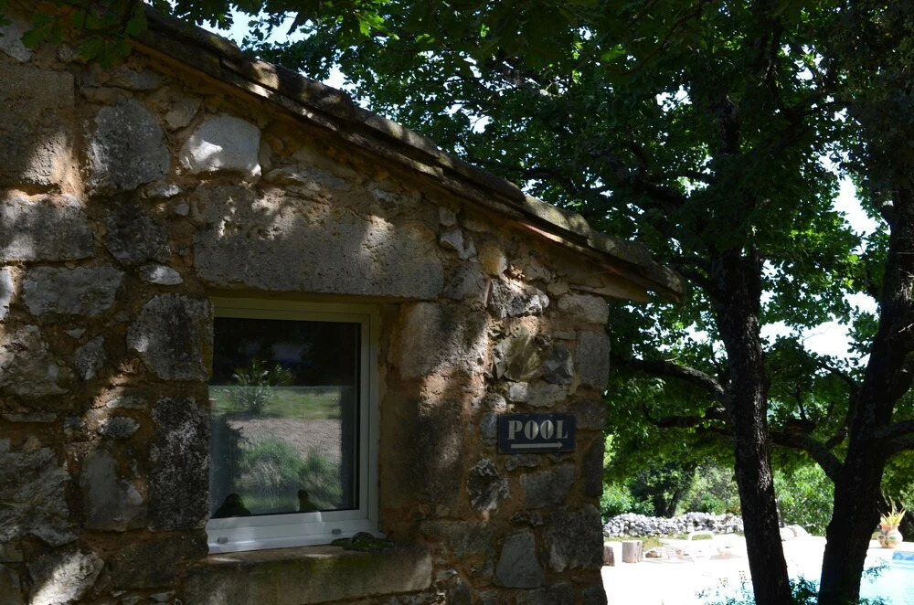 Sous les chênes