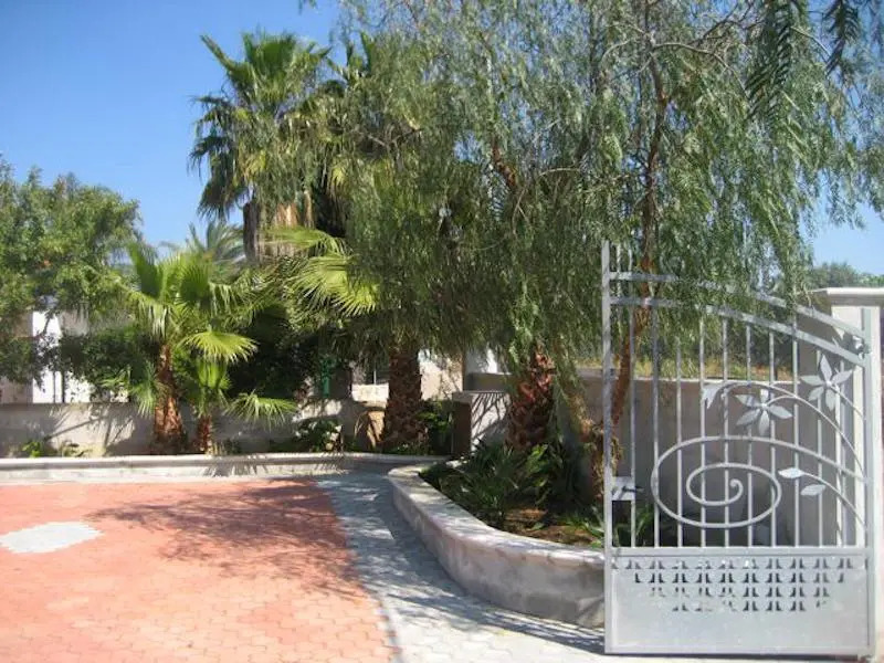 Green Garden