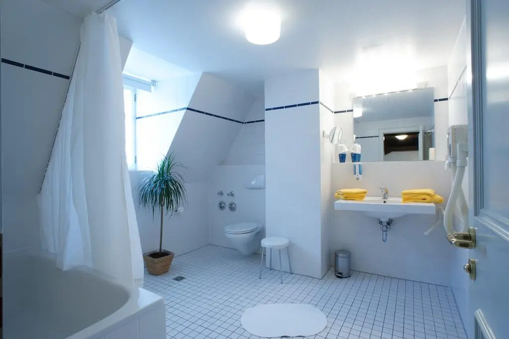 Altstadthotel Molitor