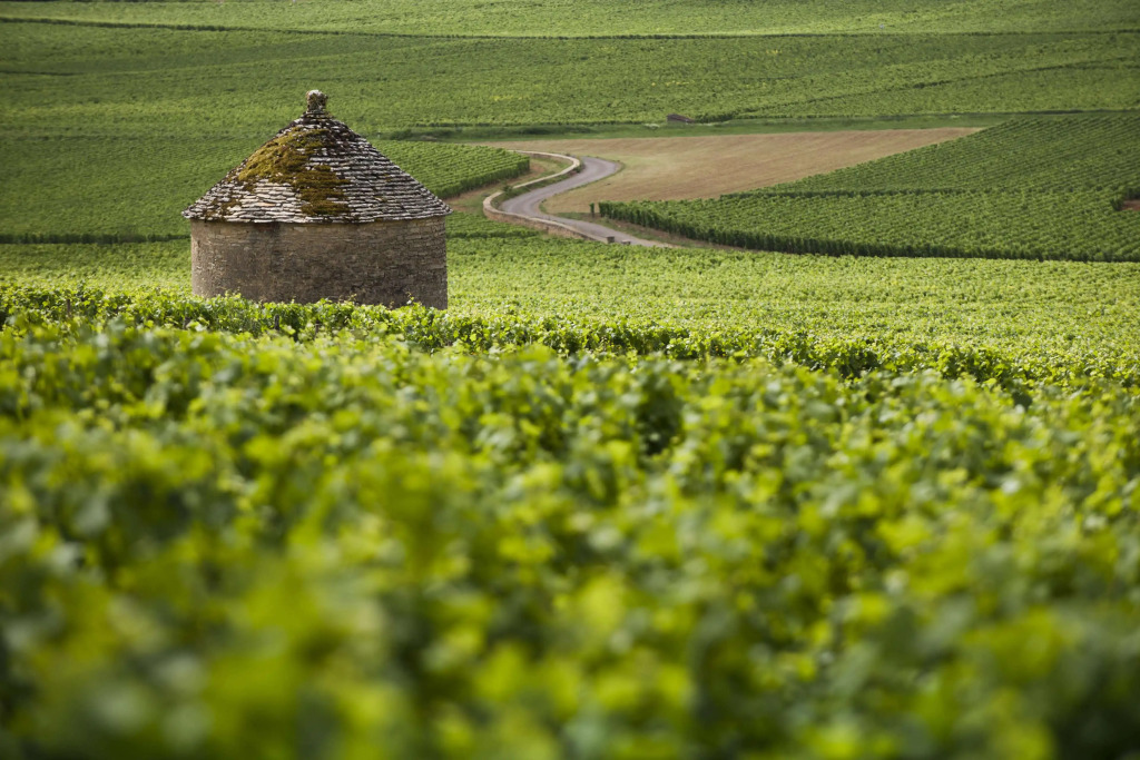 Kyriad Beaune