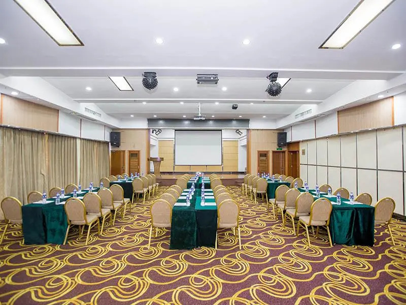 Vienna Classic Wuhan University of Technology