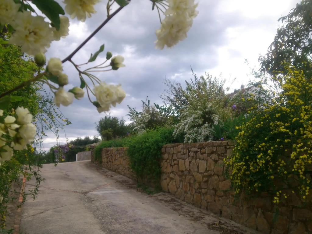 El Campito